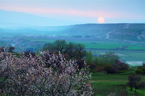 新疆阿吾勒山上的耀眼明珠——薩哈景區