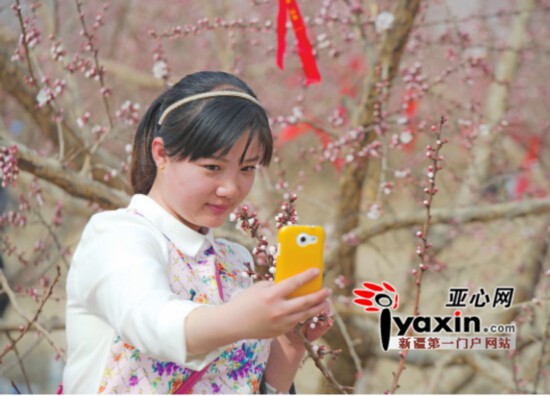 新疆托克遜縣萬畝杏花香 周末兩天迎客達8萬