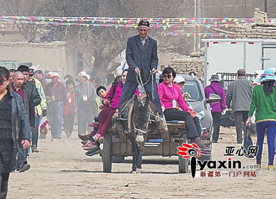 新疆托克遜縣萬畝杏花香 周末兩天迎客達8萬