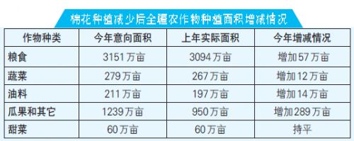 新疆2015年大幅調(diào)減棉花種植面積