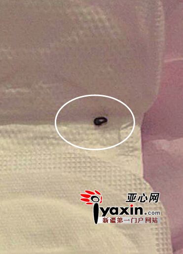 烏魯木齊市一市民購買的衛生巾中發現小黑蟲