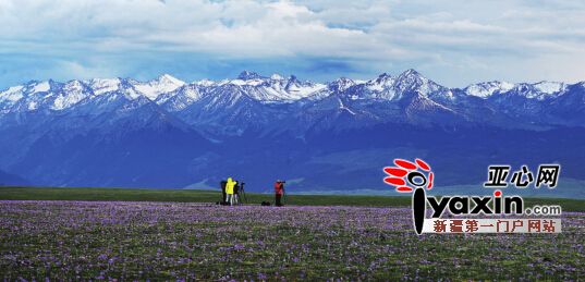 六月新疆喀拉峻實(shí)現(xiàn)索道游