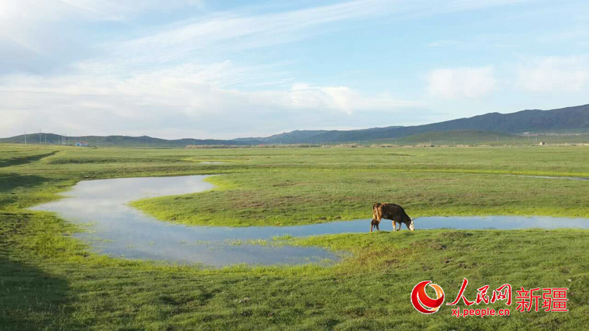 新疆沖乎爾：繽紛美景惹人醉