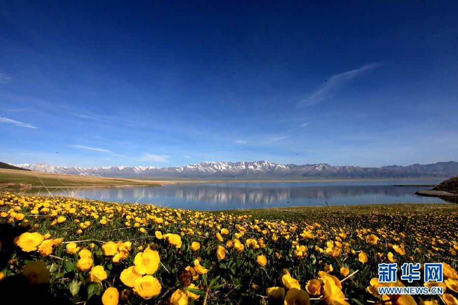 新疆賽里木湖春色如畫