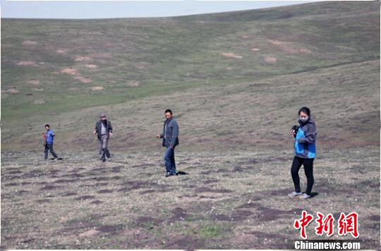 新疆伊犁州多地出現(xiàn)鼠害 發(fā)生面積500多萬(wàn)畝(圖)