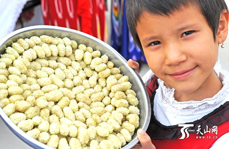 新疆庫(kù)爾勒市首屆“美麗蘭干·甜蜜桑葚”節(jié)開幕