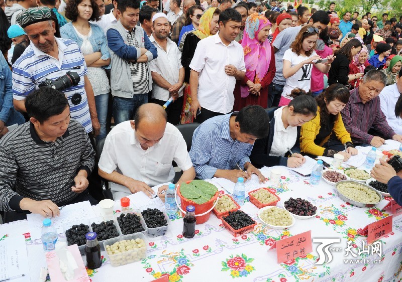 新疆庫(kù)爾勒市首屆“美麗蘭干·甜蜜桑葚”節(jié)開(kāi)幕