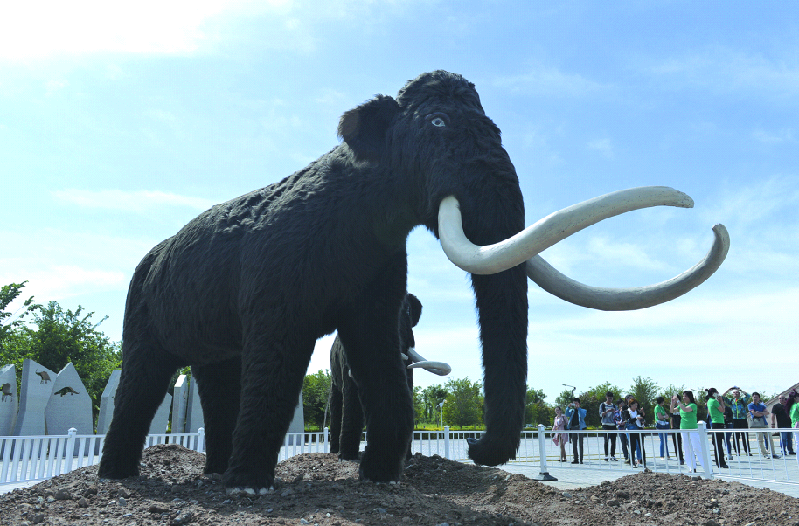 新疆昌吉首屆冰河時代動物化石展5月底啟幕