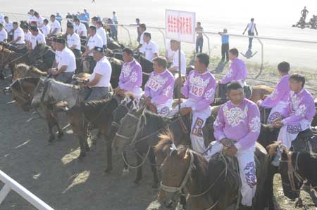 塔城市少數民族傳統體育運動會開幕