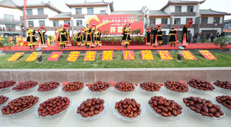 新疆•若羌第8屆紅棗節(jié)隆重開(kāi)幕