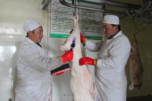 和布克賽爾縣多項措施保駕“放心肉”