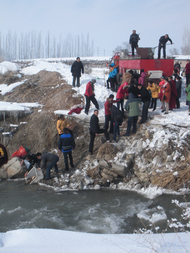 春節放生祈福 1.6噸鯉魚游進伊犁河
