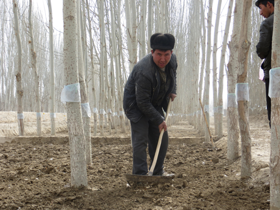將“雙膜”種植技術進行到底