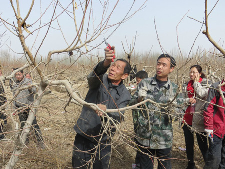 一堂深刻轉變作風的“勞動課”