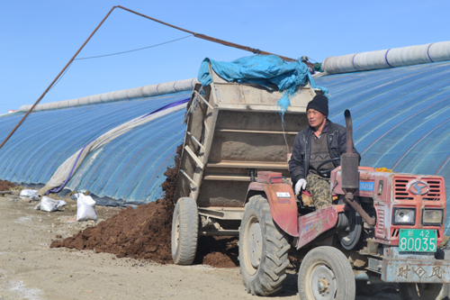 溫室大棚助農增收 莫特格鄉積極鼓勵農民經營設施農業