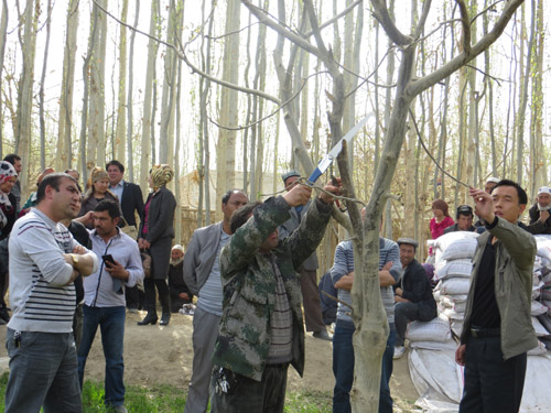 葉城縣烏吉熱克鄉吹響春季“沖鋒號”