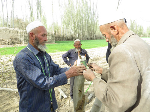 葉城縣烏吉熱克鄉吹響春季“沖鋒號”