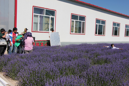 “父親節”慰問探班電影《好運特克斯》拍攝劇組