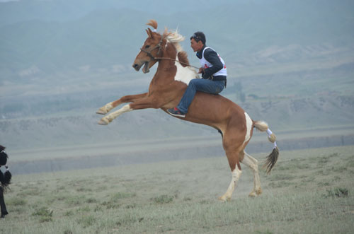 賽馬、馬上叼羊等讓農牧民享哈薩克族傳統文化之樂