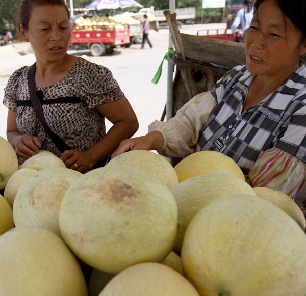 烏爾禾魔鬼城邊瓜滯銷