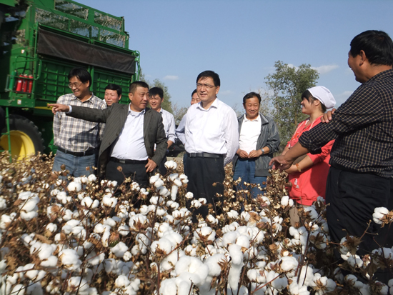 第七師一二五團機采棉采收拉開帷幕 兵團副司令孔星隆親臨現場