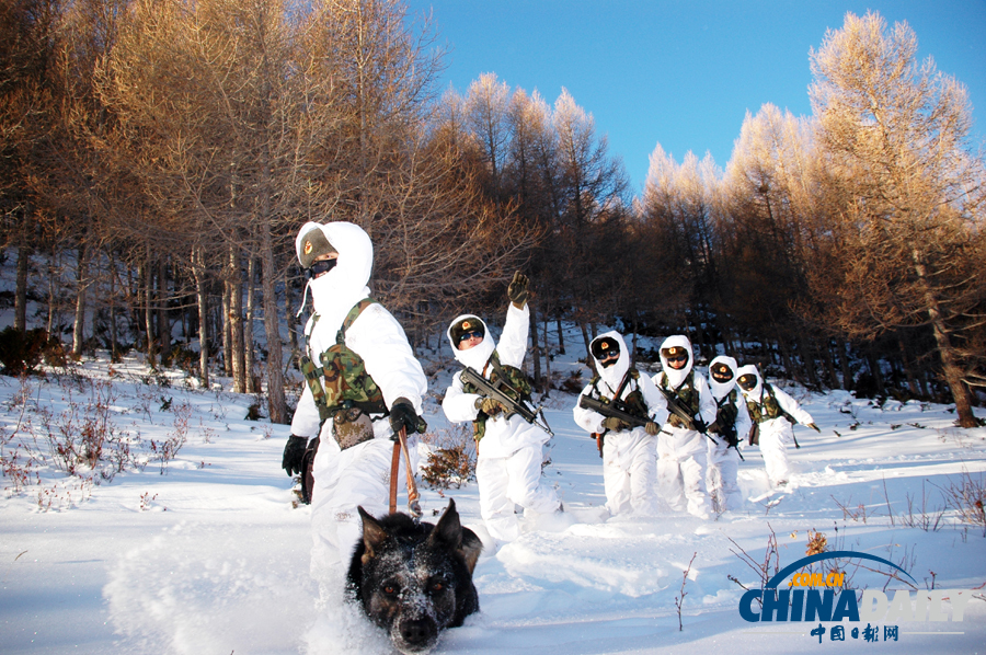 雪域衛士以忠誠喜迎元旦佳節