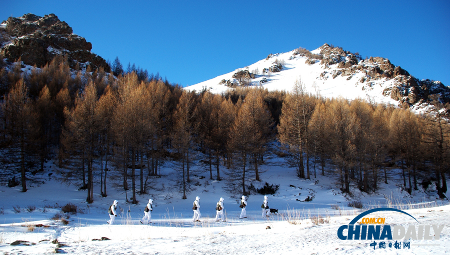 雪域衛士以忠誠喜迎元旦佳節