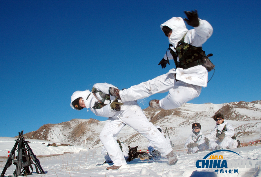 雪域衛士以忠誠喜迎元旦佳節