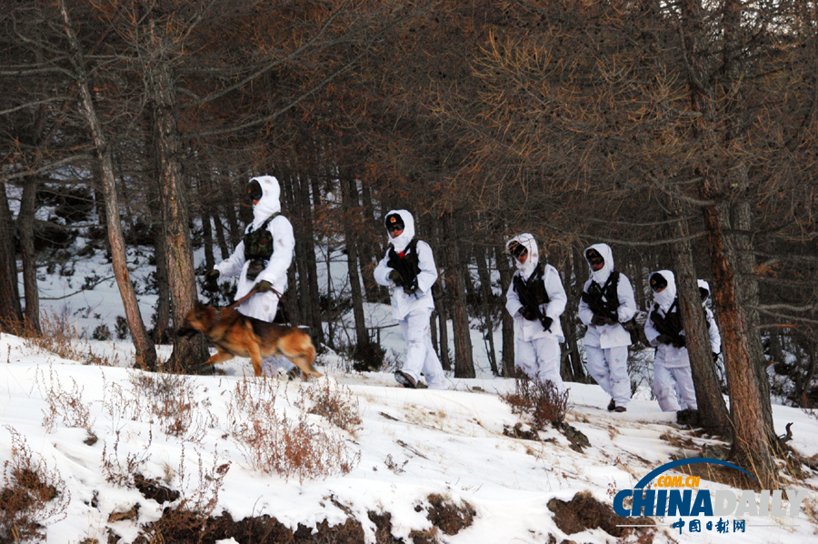 雪域衛士以忠誠喜迎元旦佳節