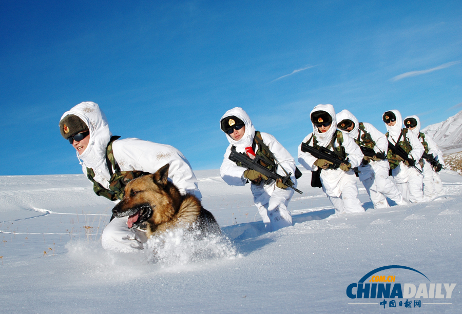 雪域衛士以忠誠喜迎元旦佳節
