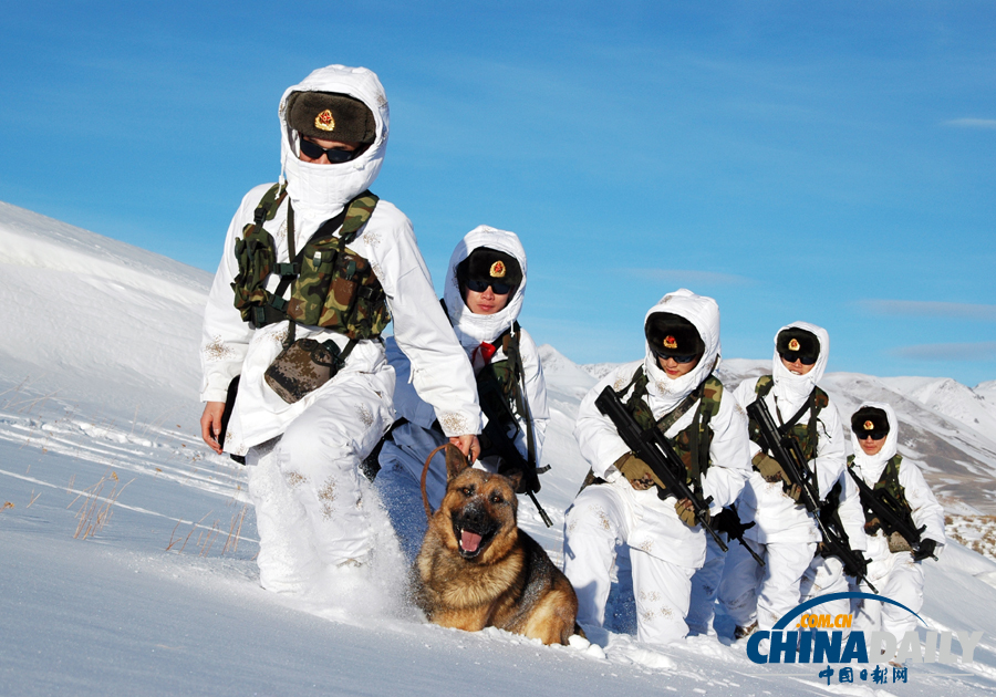 雪域衛(wèi)士以忠誠喜迎元旦佳節(jié)