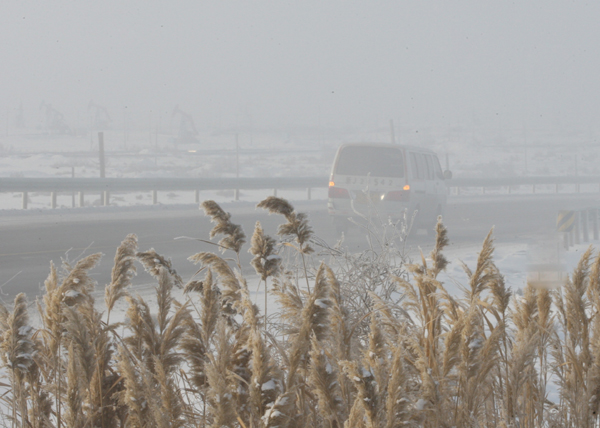 217國道新疆克拉瑪依遭遇團霧襲擊