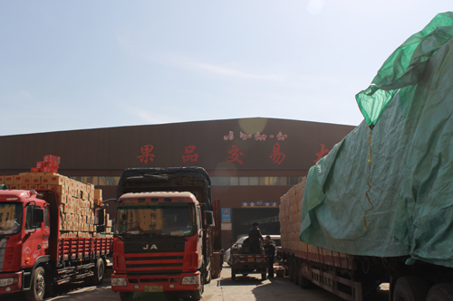 新疆九鼎農產品批發交易市場開業一周年