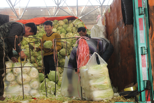 新疆九鼎農產品批發交易市場開業一周年