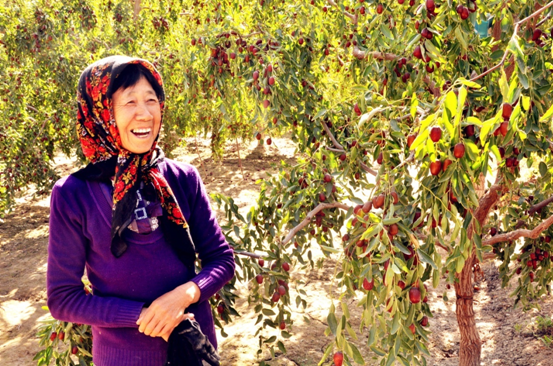 棗香飄樓蘭,若羌喜豐收 ——新疆•若羌第六屆樓蘭文化旅游節暨第九屆紅棗節開幕