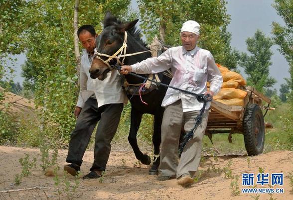 一位九旬老黨員的治沙情結