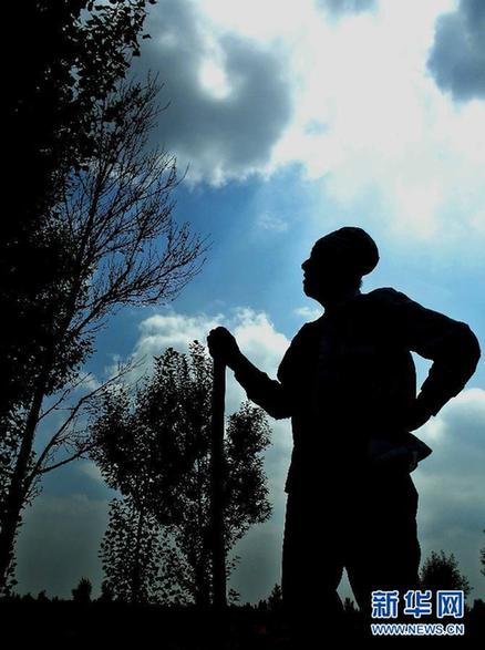 一位九旬老黨員的治沙情結