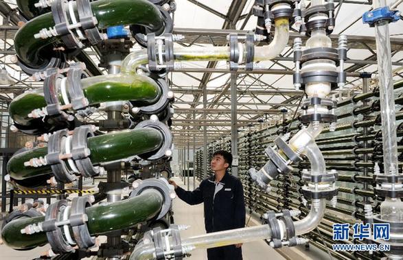 從生態文明看科學發展