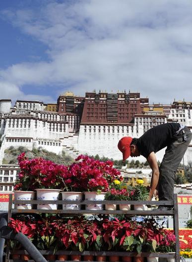 六萬盆鮮花裝點節日拉薩