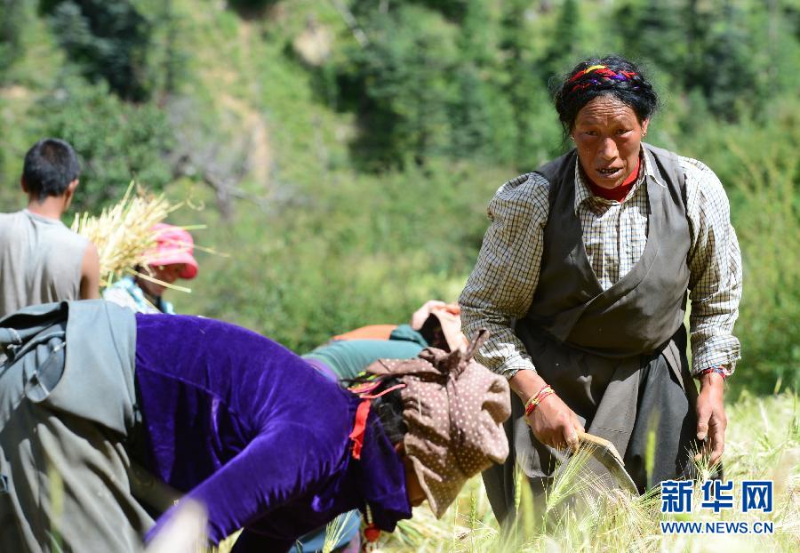 昌都地震災(zāi)區(qū)救災(zāi)穩(wěn)步推進(jìn)