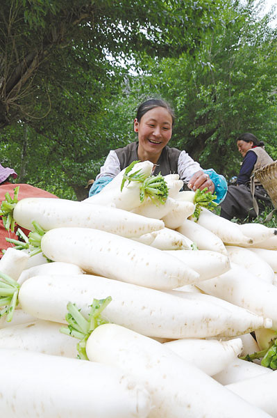 西藏昌都砸錢百億辦喜事