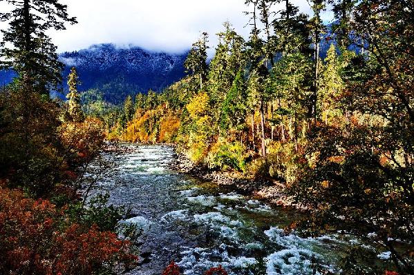 西藏林芝風(fēng)光