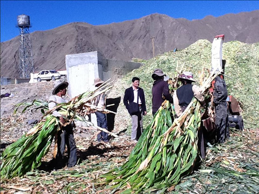 西藏12月啟用科學(xué)技術(shù)獎(jiǎng)勵(lì)新辦法