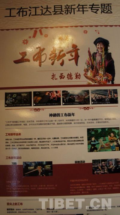 西藏74個縣級政府集體“觸網”