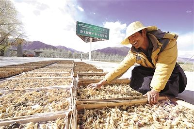 西藏日報盤點2014年拉薩大事記:新面孔