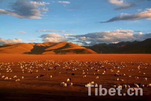 盤點2014:發現最美西藏之風光篇