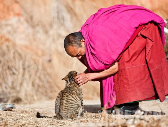 盤點2014：愛西藏之人物篇