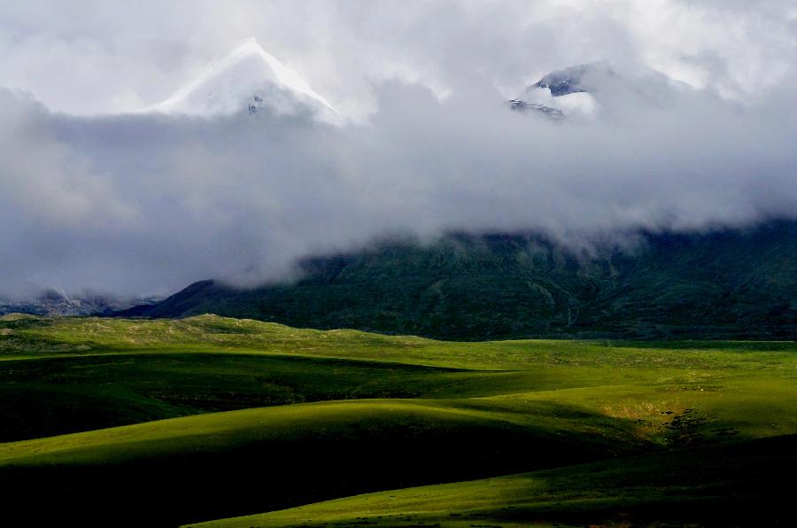 西藏：高原生態系統總體趨好