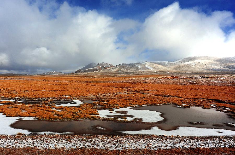 西藏:高原生態系統總體趨好