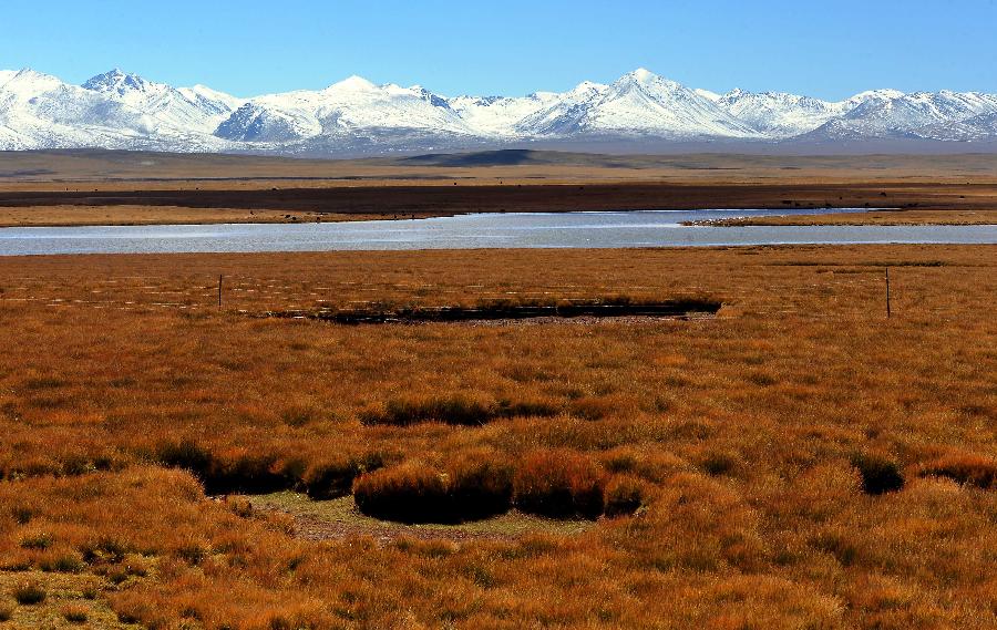 西藏：高原生態(tài)系統(tǒng)總體趨好